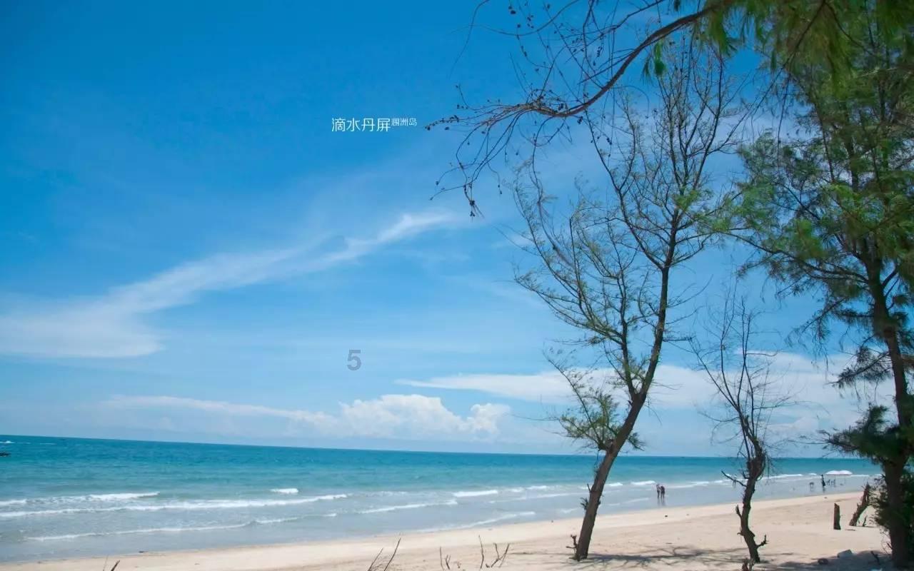 哪里买打折机票游戏画面
